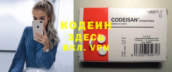 индика Баксан