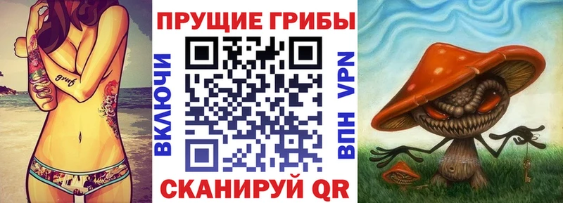 Галлюциногенные грибы ЛСД  KRAKEN ссылки  Краснокаменск 