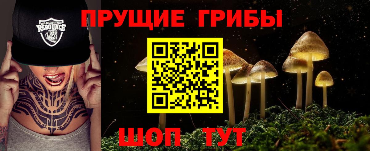 Псилоцибиновые грибы Magic Shrooms  Вход с VPN  Краснокаменск  Галлюциногенные грибы Magic Shrooms 